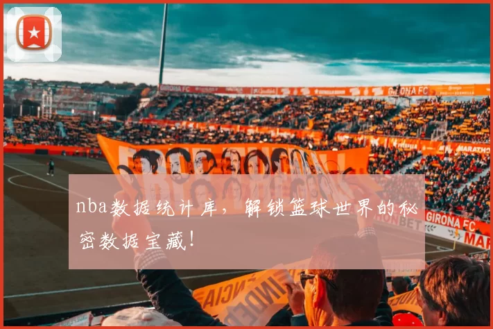 nba数据统计库，解锁篮球世界的秘密数据宝藏！